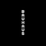 Profile avatar of bauhaus_houston
