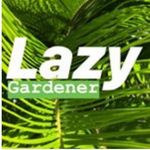 Profile avatar of lazygardener.in