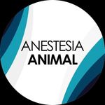 Profile avatar of anestesiaanimal