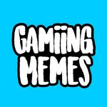 Profile avatar of gamiing.memes