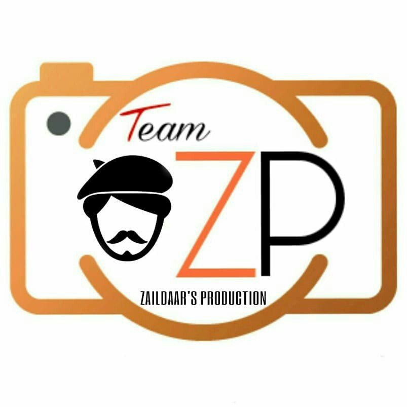 Profile avatar of zaildaars.production