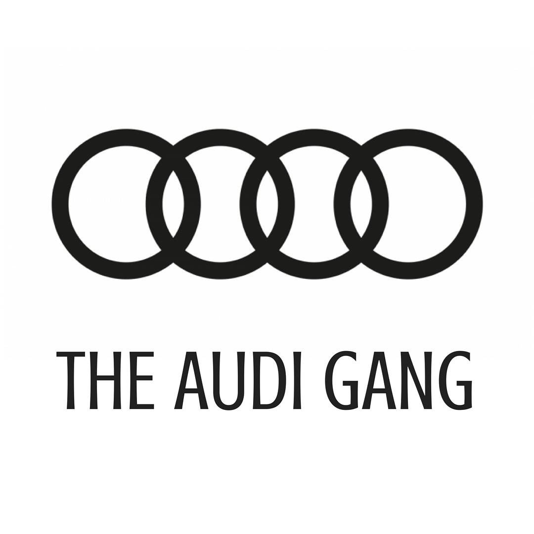 Profile avatar of _theaudigang