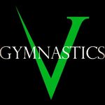 Profile avatar of @invictus_gymnastics