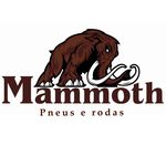 Profile avatar of mammothpneuserodas