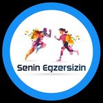 Profile avatar of seninegzersizin