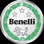 Profile avatar of benelliarg