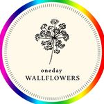Profile avatar of onedaywallflowers