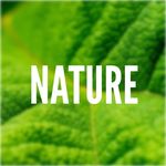 Profile avatar of nature
