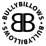 Profile avatar of bullybillows