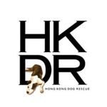 Profile avatar of hkdr_official