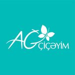 Profile avatar of agciceyim