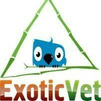 Profile avatar of exoticvet_mundo_pet