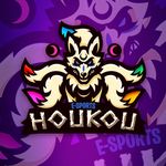 Profile avatar of teamhoukou
