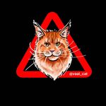 Profile avatar of vaal_cat