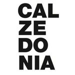 Profile avatar of calzedonia