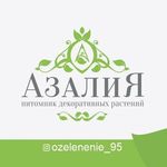 Profile avatar of ozelenenie__95
