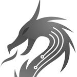 Profile avatar of dragon.circuits