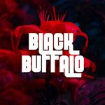 Profile avatar of blackbuffalofilms