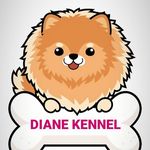 Profile avatar of diane_kennel