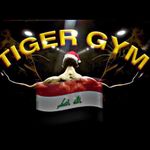 Profile avatar of tiger.gm