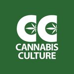 Profile avatar of cannabisculturemagazine