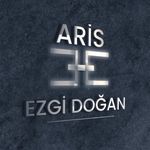 Profile avatar of ezgidoganakademi