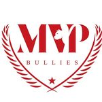 Profile avatar of mvpbullies_north