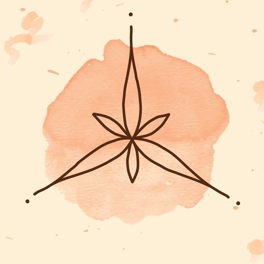 Profile avatar of capim_estrela