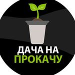 Profile avatar of dacha_na_prokachu