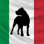 Profile avatar of canecorsoitalianmastiff