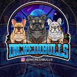 Profile avatar of incredibulls_tx
