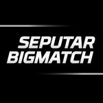 Profile avatar of seputarbigmatch