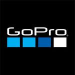 Profile avatar of goprojp
