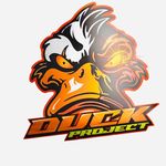 Profile avatar of duck.project