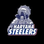 Profile avatar of haryanasteelers