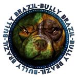 Profile avatar of bullybrazil
