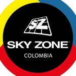 Profile avatar of skyzoneco