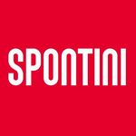 Profile avatar of spontini_pizza