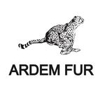 Profile avatar of ardemfur