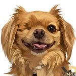 Profile avatar of one.eye.dog
