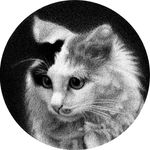 Profile avatar of 1969tattoo