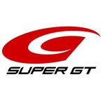 Profile avatar of supergt_official