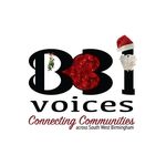 Profile avatar of b31voices