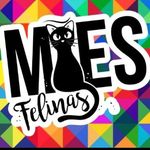 Profile avatar of maes_felinas