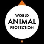 Profile avatar of worldanimalprotectionindia