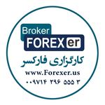 Profile avatar of forexerfx