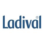 Profile avatar of ladival_es