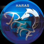 Profile avatar of haraspff