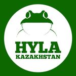 Profile avatar of @hyla.kazakhstan