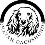Profile avatar of onatahdachshunds